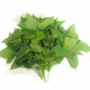Frische Waterleaf