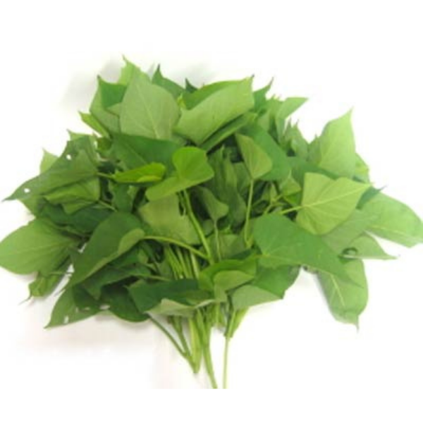 Frische Waterleaf