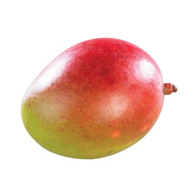 Frische Mango